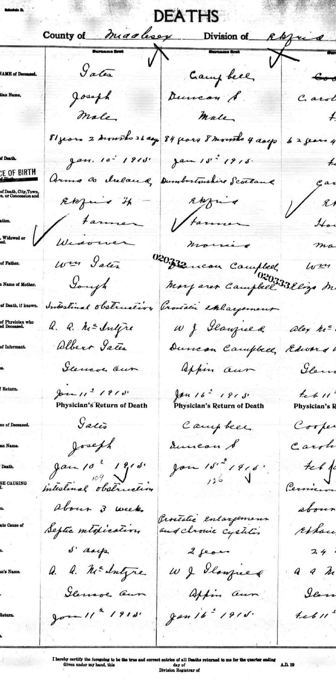Digitized Death Record